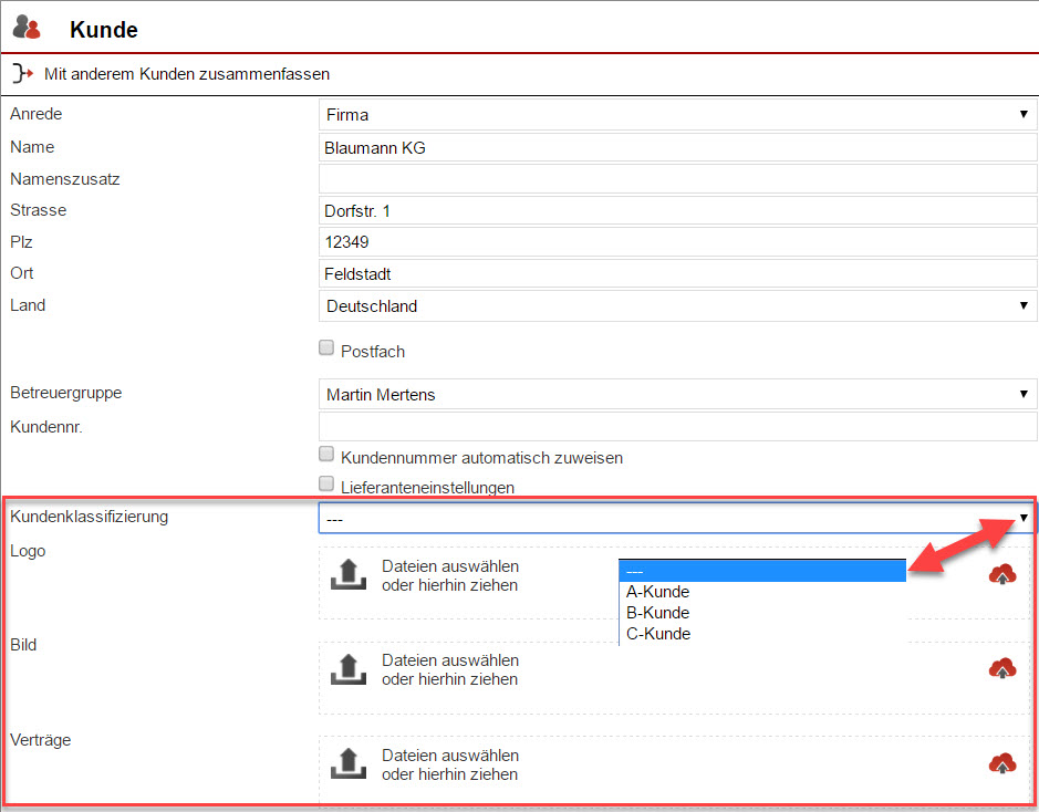 Screenshot Kundenstammdateneingabemaske mit Markierungen bei verschiedenen Zusatzfeldern