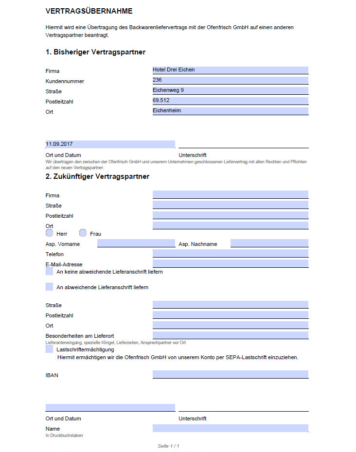 Screenshot fertiges Formular