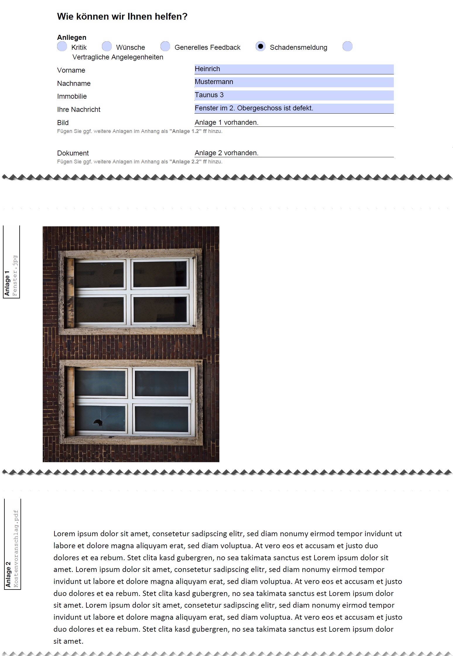 Screenshot Formular-PDF