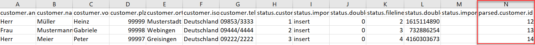 Screenshot einer ausgegebenen CSV-Tabelle nach dem Import mir Markierung