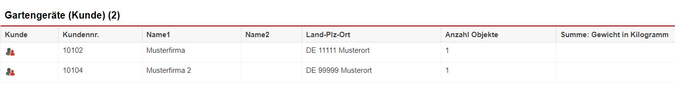 Screenshot einer Objekt-Auswertung mit Blickwinkel "Kunde"