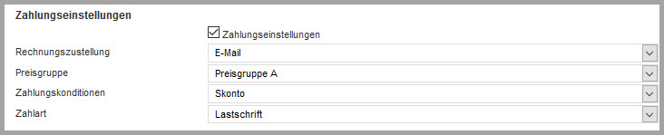 Screenshot geöffneter Bereich zur Festlegung der Zahlungseinstellungen