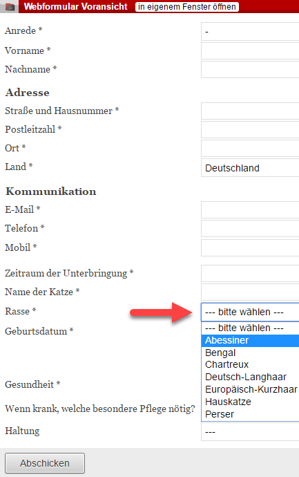 Screenshot Voransicht eines fertigen Webformulars mit einem ausgeklappten eingebundenen Auswahfeld