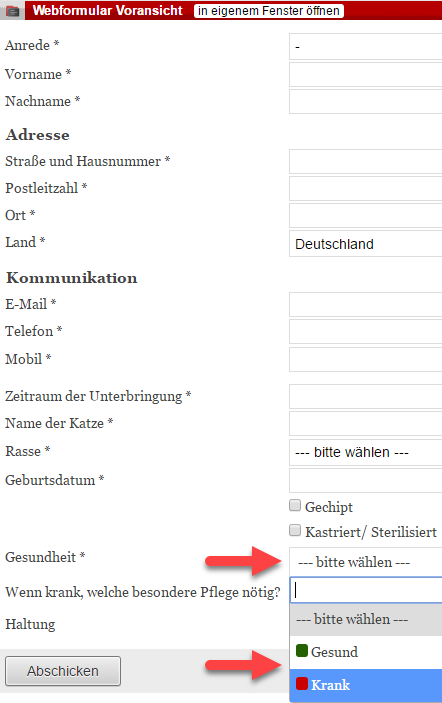 Screenshot Voransicht eines fertigen Webformulars mit einer ausgeklappten eingebundenen Werteliste
